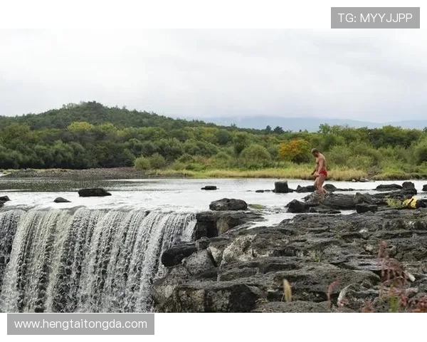 跳水运动发展历程与技术创新分析:从传统技巧到现代竞技的飞跃