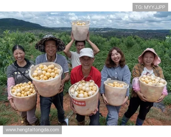 九台农商银行创新驱动区域经济发展助力乡村振兴战略实施